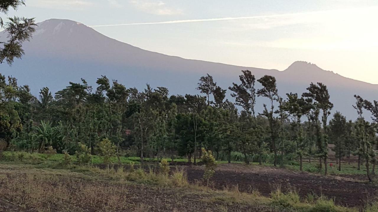 Kilimanjaro Country House Pensionat Moshi Eksteriør billede